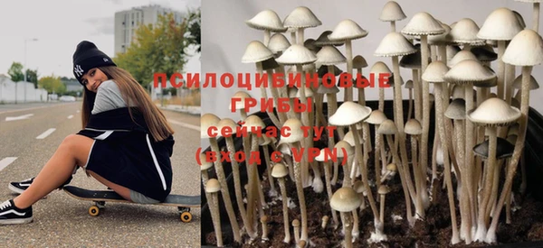 a pvp Инсар