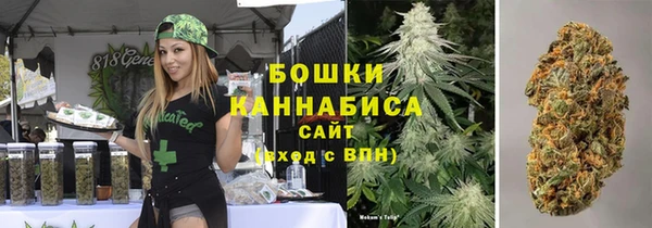 a pvp Инсар